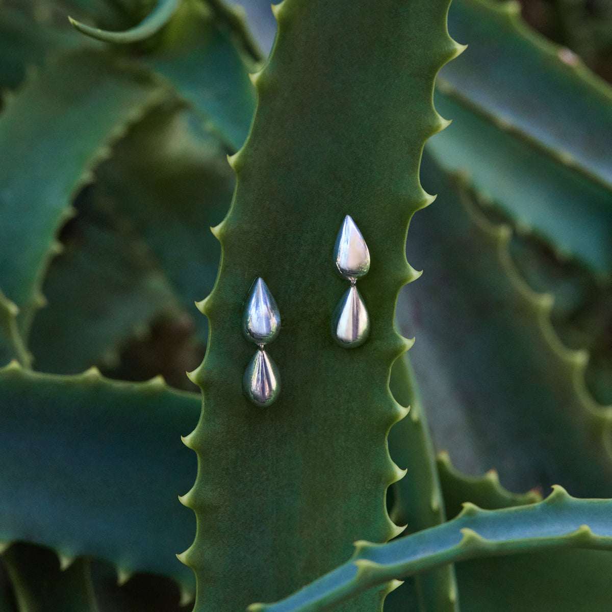 Liora Double Drop Stud Earrings